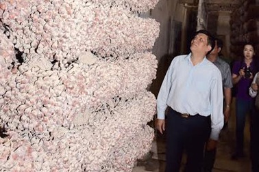 Vụ nông dân trồng hành tím bị mù mắt: Do tự điều trị sai!