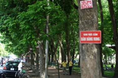 Cây xanh Hà Nội - SOS