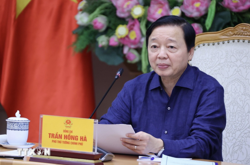 Quyết liệt kiểm soát dịch tả lợn châu Phi, bảo đảm nguồn cung cuối năm - 1 Quyết liệt kiểm soát dịch tả lợn châu Phi, bảo đảm nguồn cung cuối năm - 1