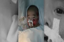 Video: Bài hát Phút cuối bên con