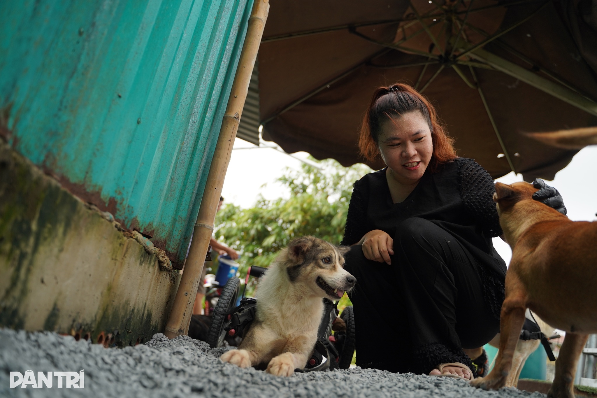 Bữa tiệc sinh nhật dang dở, chị dùng toàn bộ tiền mừng để chuộc 5 chú chó về. Suốt đêm đó, chị đưa từng bé đi khám và điều trị. Vài tuần sau, cả 5 chú chó đều tìm được chủ mới tử tế. "Tôi nghĩ vậy là xong, là trọn vẹn rồi. Chưa từng hình dung mình sẽ làm điều gì lớn lao hơn", chị Ngân nói. Hai tháng sau, một "kỳ tích" xảy ra: chị Ngân mang thai tự nhiên sau gần 4 năm hiếm muộn. Chị tin rằng đây là món quà của vũ trụ, đáp lại hành động tử tế của mình.