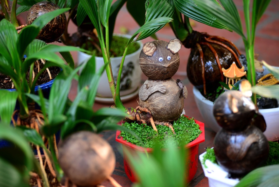 Bonsai hình chuột.jpg Bonsai hình chuột.jpg