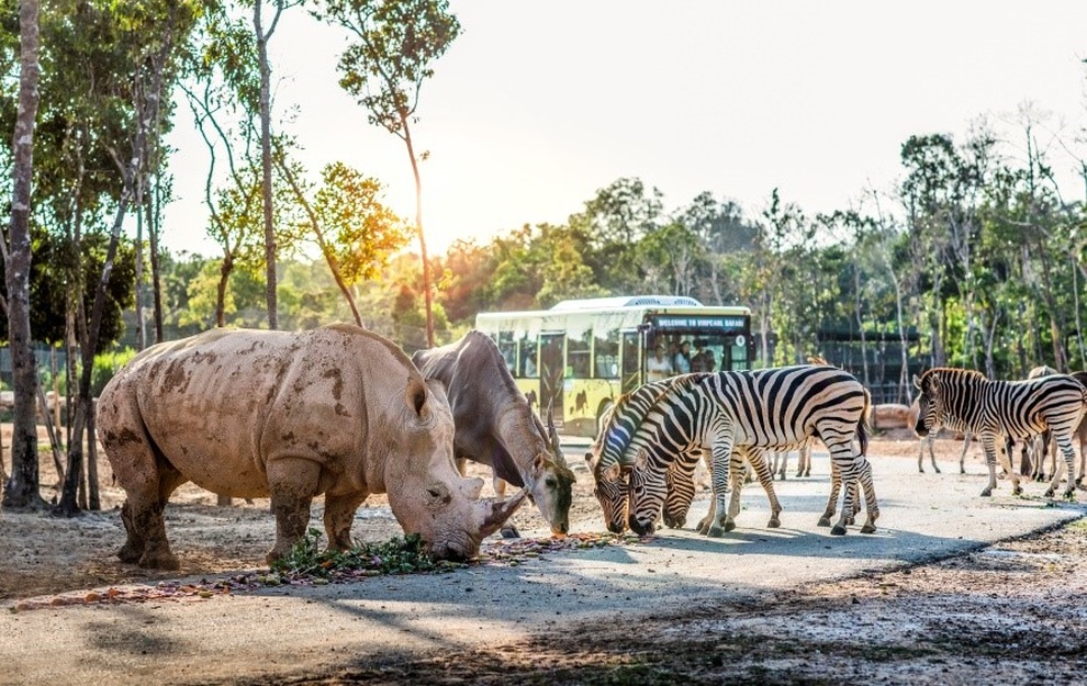 Một ngày vào vai nhà động vật học giữa thiên đường hoang dã Vinpearl Safari - 6 Một ngày vào vai nhà động vật học giữa thiên đường hoang dã Vinpearl Safari - 6