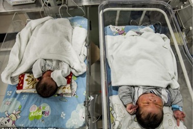 Cùng ngắm những em bé mập nhất thế giới