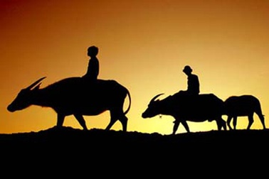 Cùng chúng tôi tham gia “Việt Nam thân thương”