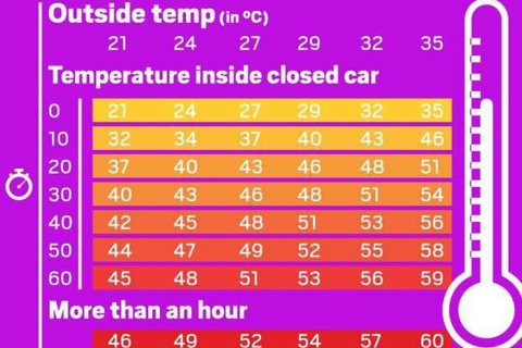 Bé 4 tuổi qua đời sau hơn 7 tiếng bị bỏ quên trong ô tô
