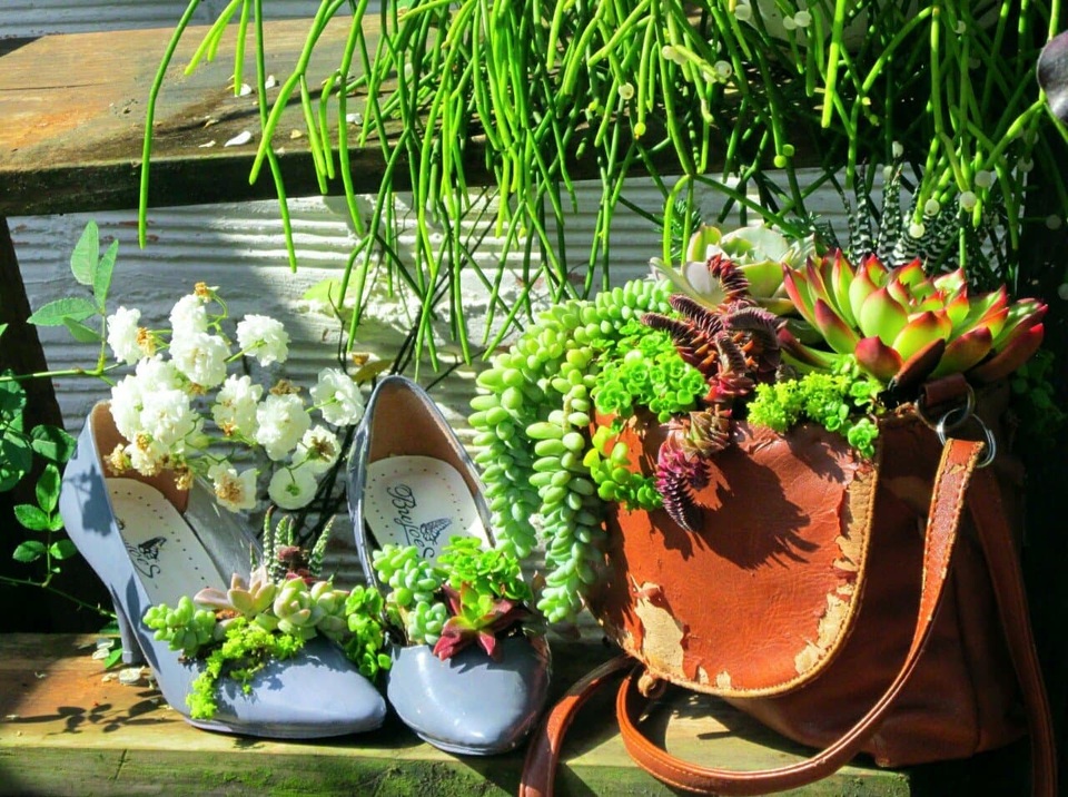 Độc đáo khu vườn ve chai của chị gái Lâm Đồng - 3 Độc đáo khu vườn ve chai của chị gái Lâm Đồng - 3