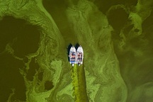 Thứ ô nhiễm nguy hiểm hơn cả rác thải nhựa là gì?