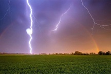 Đi trồng keo trên đồi, 3 người bị sét đánh trúng