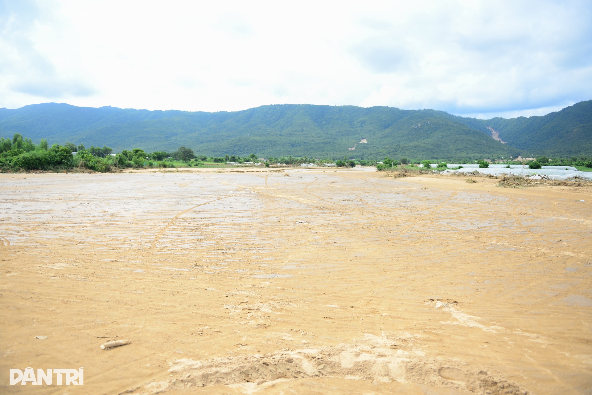 Vỡ hồ nước ở Lâm Đồng, lũ cát cuồn cuộn đổ về san phẳng nhà vườn - 12