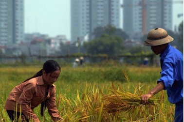 Thủ tướng lệnh kiểm kê đất đai toàn quốc 