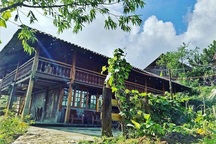 Vợ chồng Hà Nội dựng nhà sàn 500m2, sống cảnh điền viên ở Sapa