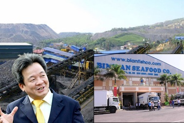 Ông Đỗ Quang Hiển: Chỉ có tiền thôi thì không tái cơ cấu được!