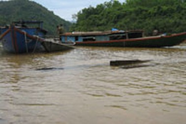 Lâm tặc vào tận phòng làm việc hành hung kiểm lâm