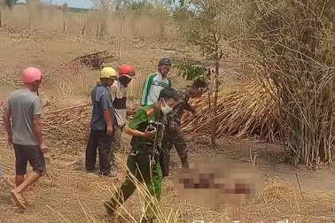 Điều tra vụ người đàn ông chết trong vườn cao su ở Gia Lai