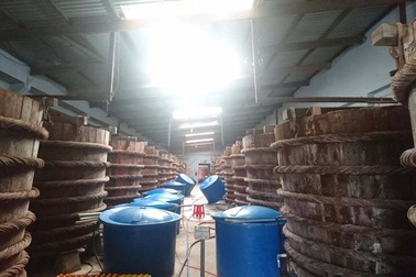 Hoàn thiện hồ sơ Dự thảo Tiêu chuẩn Việt Nam quy phạm thực hành sản xuất nước mắm