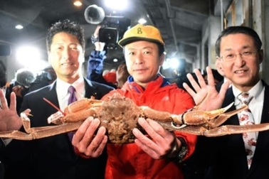 Hơn 1 tỷ đồng cho một con cua tuyết Nhật Bản