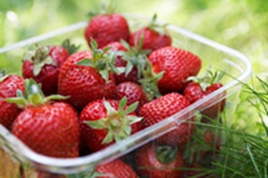 Quả dâu - Món quà từ thiên nhiên