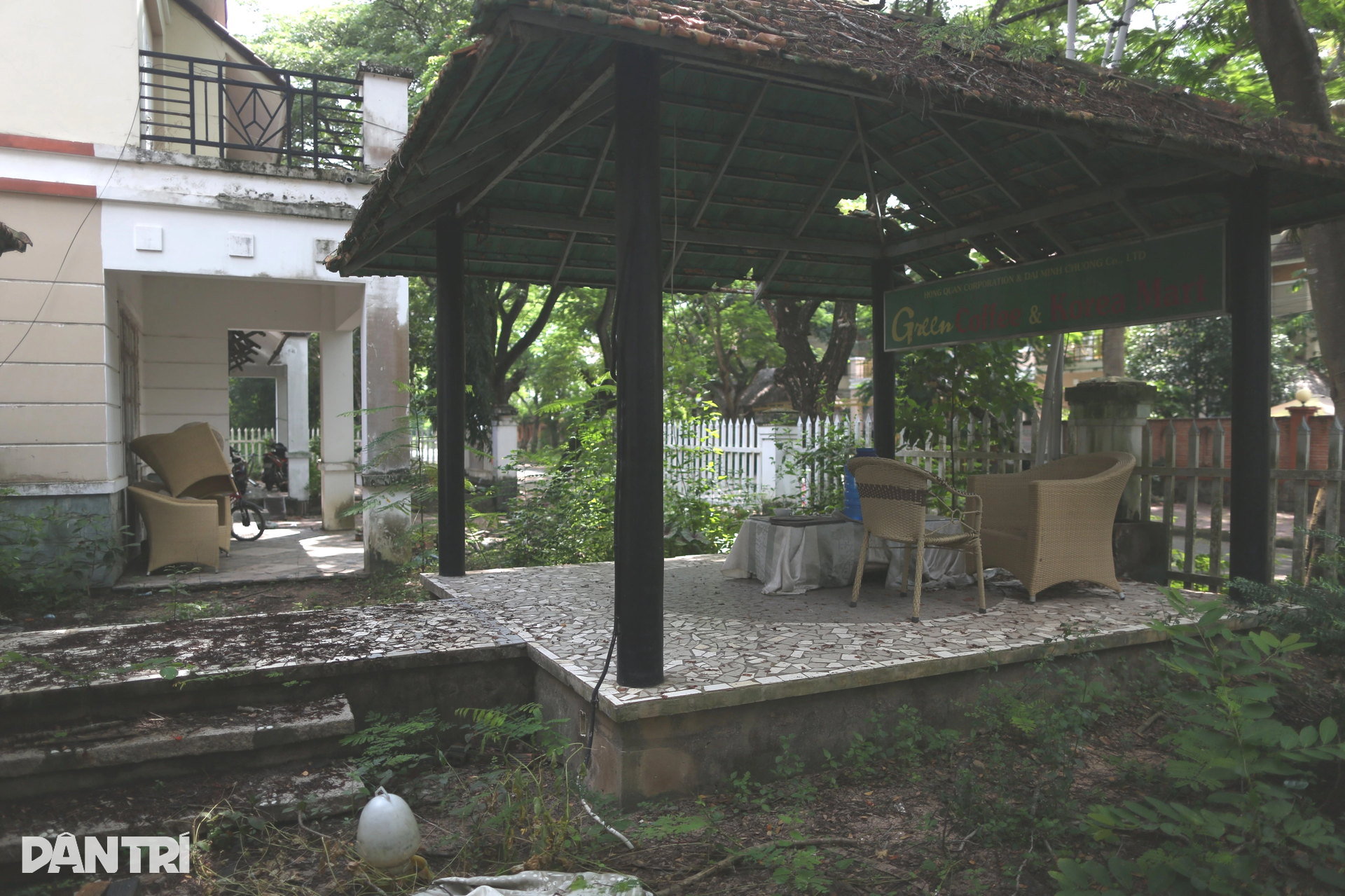 Thành phố ma Nhơn Trạch hoang tàn, thành nơi thả trâu sau 20 năm - 7 Thành phố ma Nhơn Trạch hoang tàn, thành nơi thả trâu sau 20 năm - 7