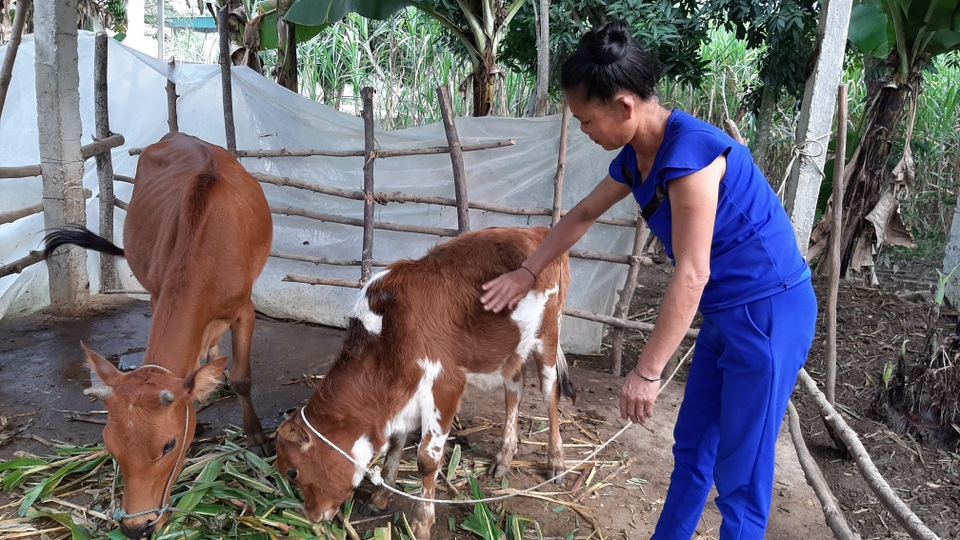 Thấy gì qua công tác giảm nghèo ở một huyện miền núi - 1 Thấy gì qua công tác giảm nghèo ở một huyện miền núi - 1