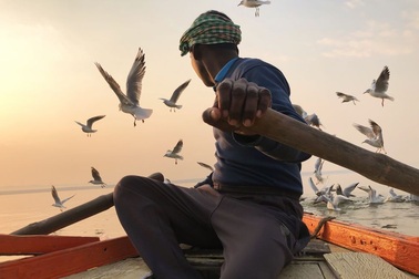 Ảnh chụp từ iPhone 4 đoạt giải Ấn tượng trong cuộc thi nhiếp ảnh năm 2020