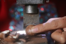 Quả "nữ hoàng", hạt "tỷ đô" nhảy giá từng ngày