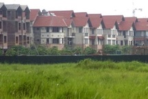 Thị trường đất đấu giá: Chủ đầu tư tháo chạy!  