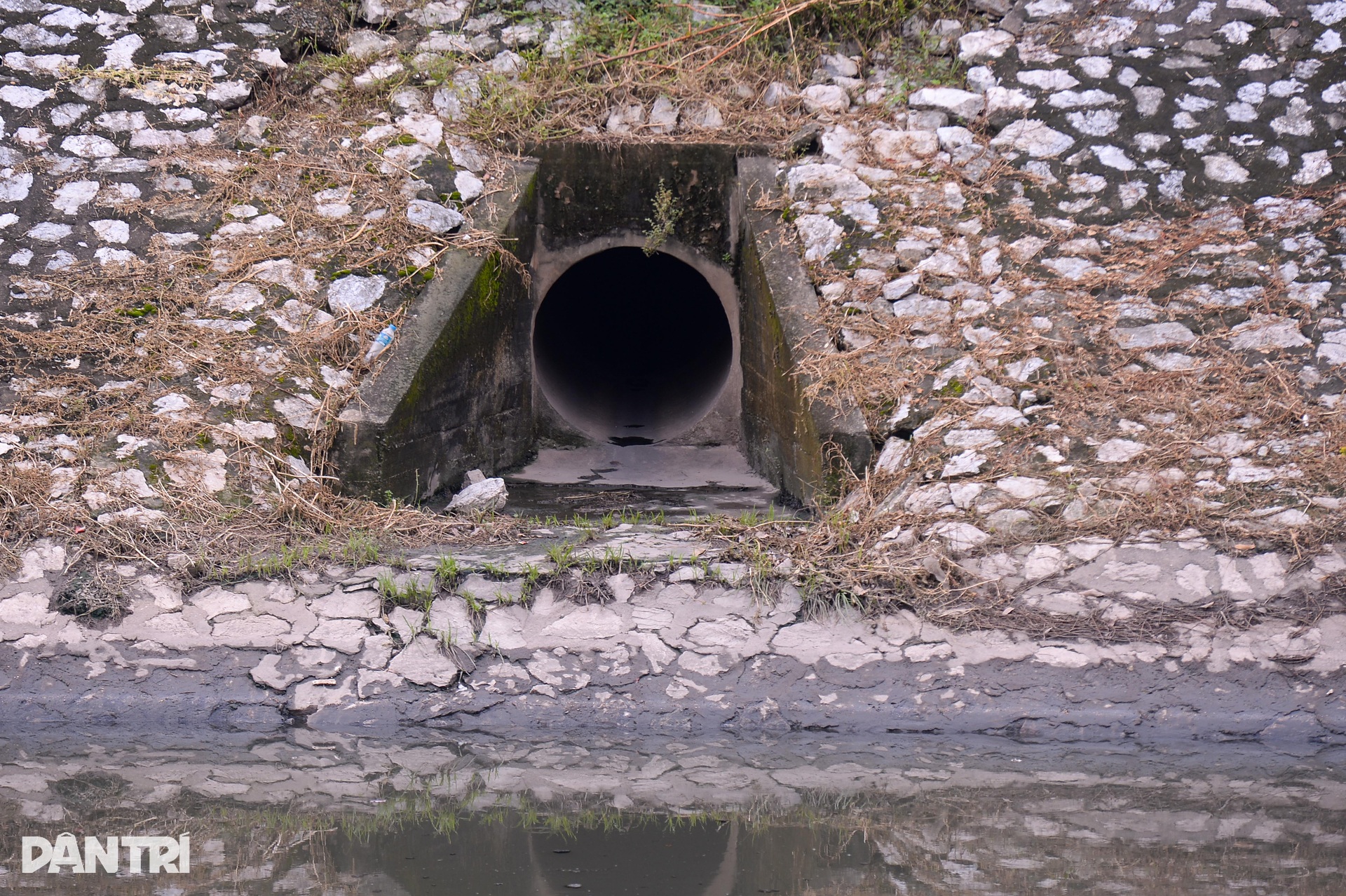 Dòng nước hôi thối vẫn ồ ạt chảy vào sông Tô Lịch trước ngày hồi sinh - 7