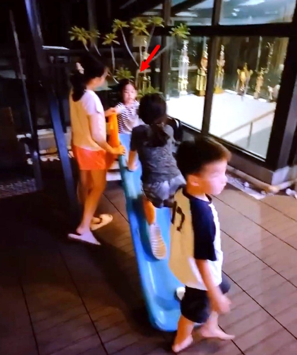 Lâm Tâm Như rạng ngời hạnh phúc bên ông xã Hoắc Kiến Hoa - 6