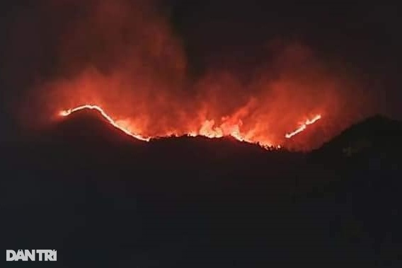 Cháy lớn trên núi Cô Tiên ở Nha Trang, nhiều người tháo chạy - 2
