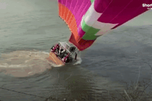 Khinh khí cầu chở du khách ngắm hoa anh đào bất ngờ lao thẳng xuống hồ sâu