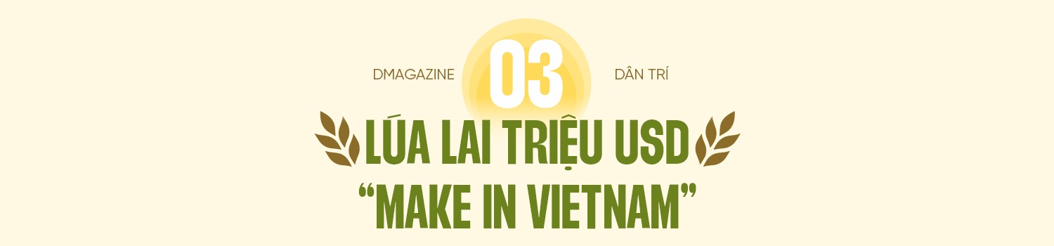 80 năm cây lúa Việt: Từ nạn đói 1945 đến hạt gạo ngon nhất thế giới - 11 80 năm cây lúa Việt: Từ nạn đói 1945 đến hạt gạo ngon nhất thế giới - 11