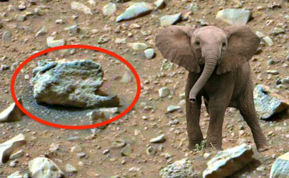 Thợ săn UFO tuyên bố phát hiện voi trên... sao Hỏa - 3 Thợ săn UFO tuyên bố phát hiện voi trên... sao Hỏa - 3