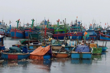 Tàu cá cùng 8 ngư dân bị mất liên lạc nhiều ngày trên biển