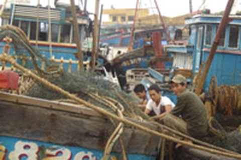 Vẫn còn hơn 4.000 tàu thuyền chưa về nơi trú ẩn 