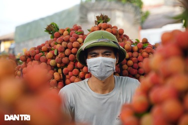 6 nhóm người nên hạn chế ăn vải