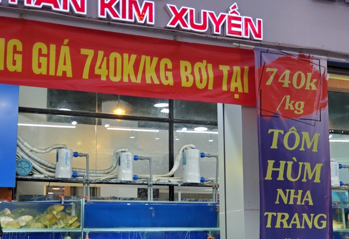 Chuyện hiếm thấy: Tôm hùm xanh xuống đường, giá chỉ còn 159.000 đồng/con - Ảnh 3. Chuyện hiếm thấy: Tôm hùm xanh xuống đường, giá chỉ còn 159.000 đồng/con - Ảnh 3.