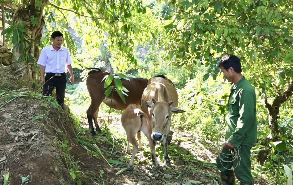 Xã Phong Thổ hỗ trợ người dân vươn lên thoát nghèo - 1