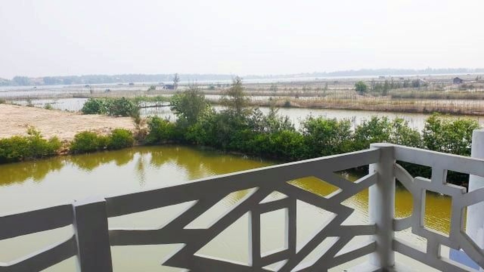 Niềm hạnh phúc gặp lại của 2 vợ chồng người Anh được chữa lành Covid-19 - 8 Niềm hạnh phúc gặp lại của 2 vợ chồng người Anh được chữa lành Covid-19 - 8