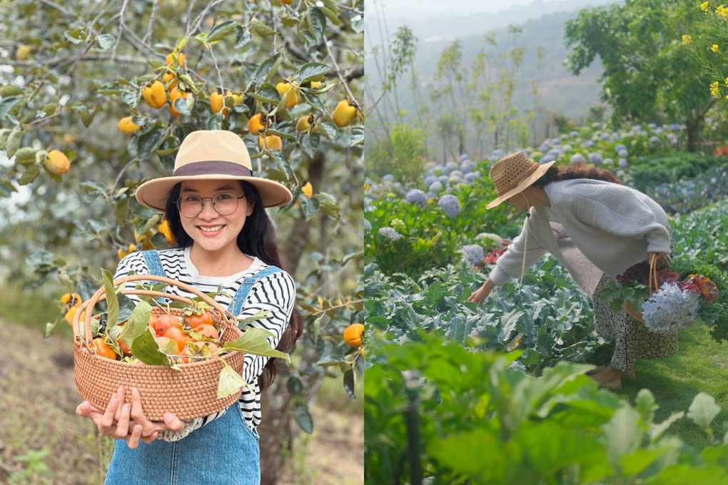 Cô gái còn 1/3 lá phổi, bỏ phố về Đà Lạt xây nhà gỗ và khu vườn như cổ tích - 4 Cô gái còn 1/3 lá phổi, bỏ phố về Đà Lạt xây nhà gỗ và khu vườn như cổ tích - 4