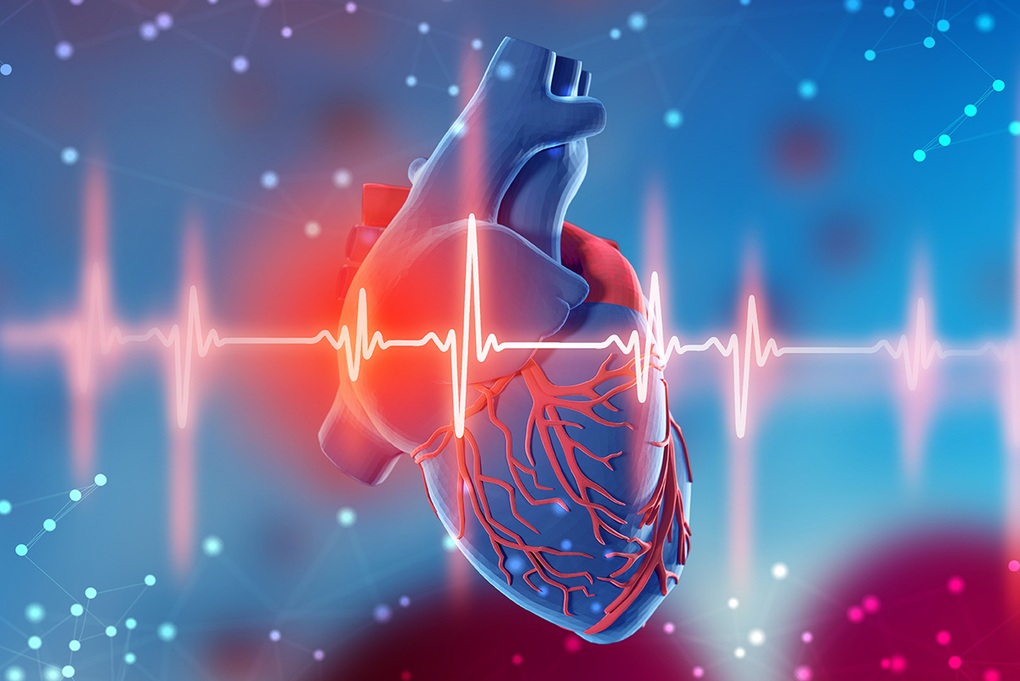 9 dấu hiệu cảnh báo bệnh lý tim mạch bạn nên biết - 2