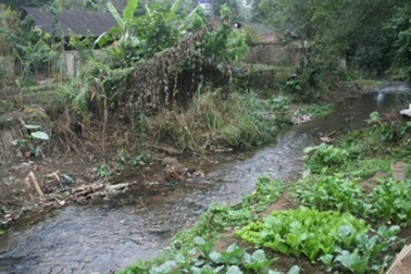 Cả xã bị “đầu độc” bệnh đau đầu, thấp khớp 