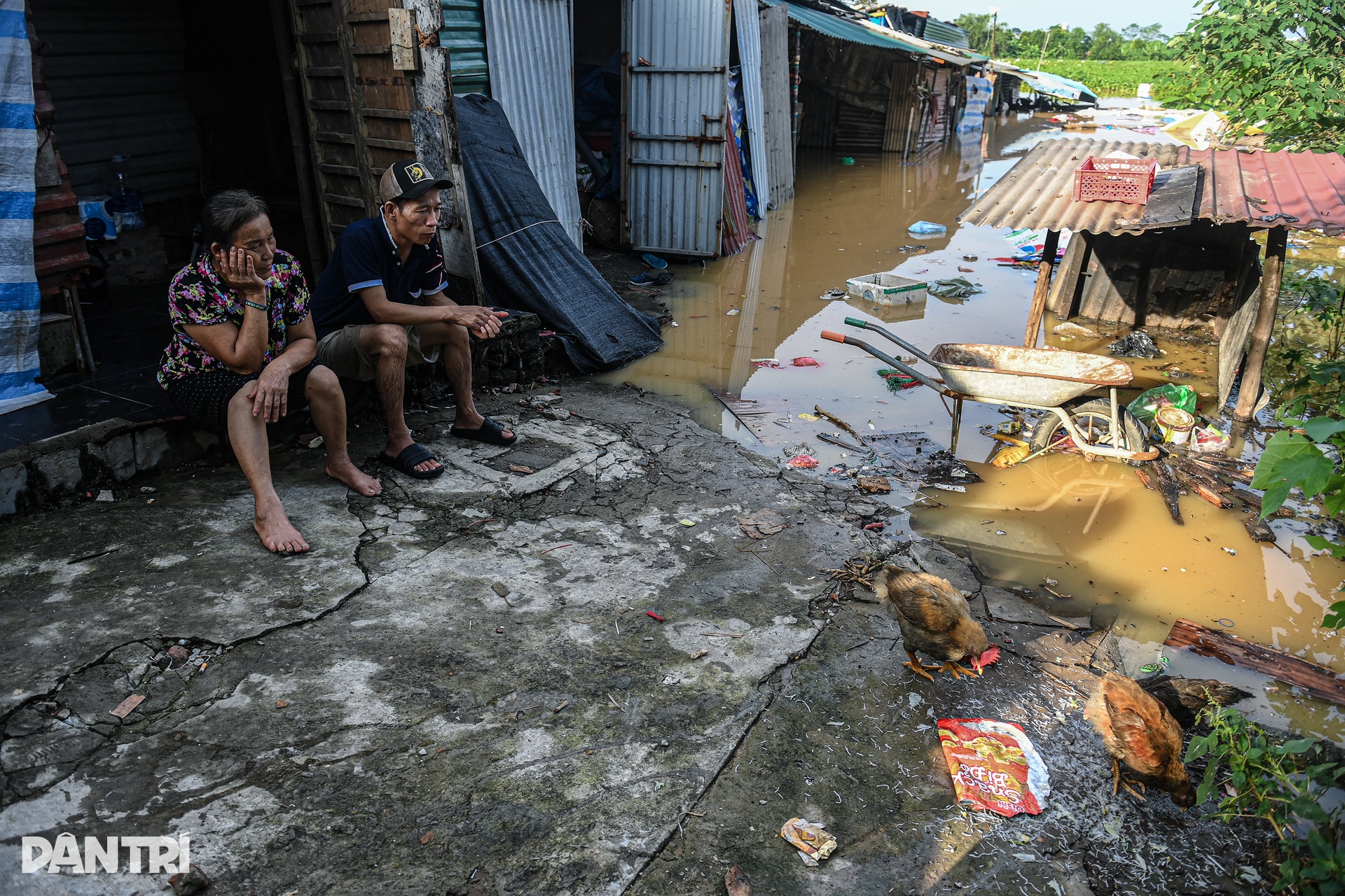 Người dân chạy lũ khi một số khu dân cư ven sông Hồng ở Hà Nội ngập sâu - 13 Người dân chạy lũ khi một số khu dân cư ven sông Hồng ở Hà Nội ngập sâu - 13
