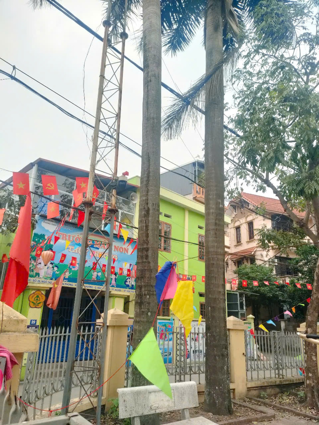 Hiểm họa trên trời rơi xuống từ những tàu lá cau - 2 Hiểm họa trên trời rơi xuống từ những tàu lá cau - 2