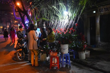 Hái lộc đầu xuân thế nào cho đúng để “rước may” về nhà?