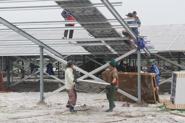Doanh nghiệp thi công trang trại điện mặt trời hồi âm thông tin Báo Dân trí