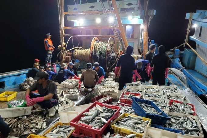 Lực lượng chức năng tỉnh Thừa Thiên Huế bắt giữ tàu cá vi phạm 
