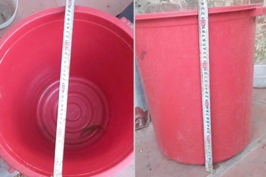 Ngã vào xô chứa nước thải điều hòa, bé 19 tháng tím tái, ngưng thở