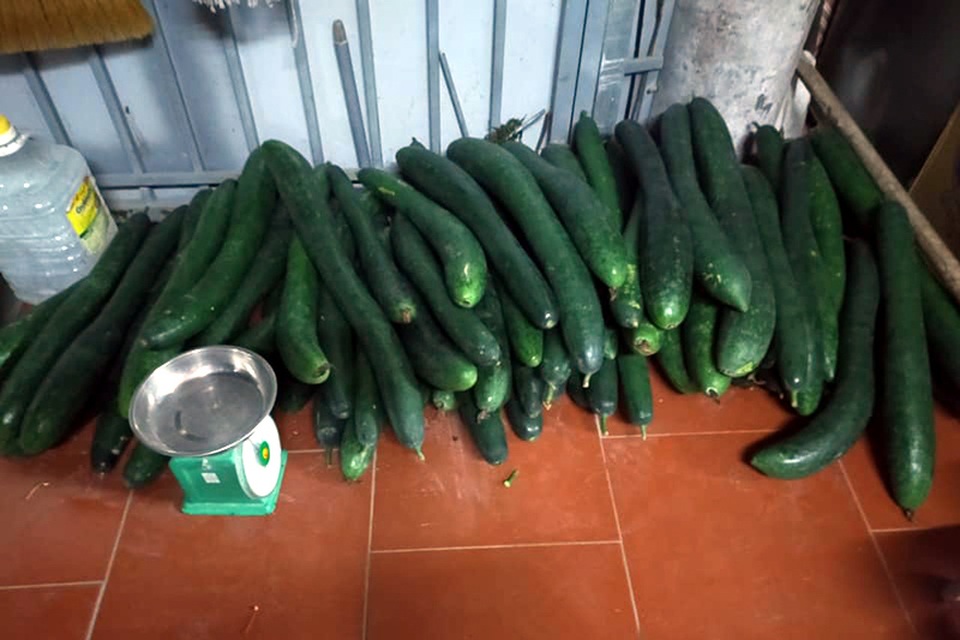 Giá khoai lang giảm kỷ lục, chưa tới 1.000 đồng/kg: Nông dân khóc ròng - 2 Giá khoai lang giảm kỷ lục, chưa tới 1.000 đồng/kg: Nông dân khóc ròng - 2
