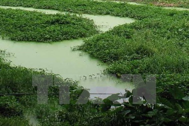 Hưng Yên: 209 trẻ em ở làng nghề Đông Mai bị phơi nhiễm chì